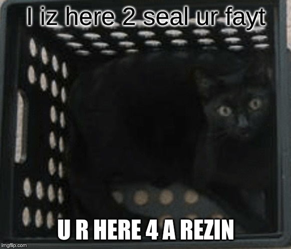 Basement Cat | I iz here 2 seal ur fayt; U R HERE 4 A REZIN | image tagged in basement cat,lol cats,cats,bible,lolcat bible | made w/ Imgflip meme maker