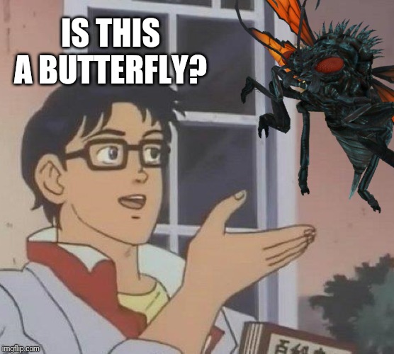 IS THIS A BUTTERFLY? | made w/ Imgflip meme maker