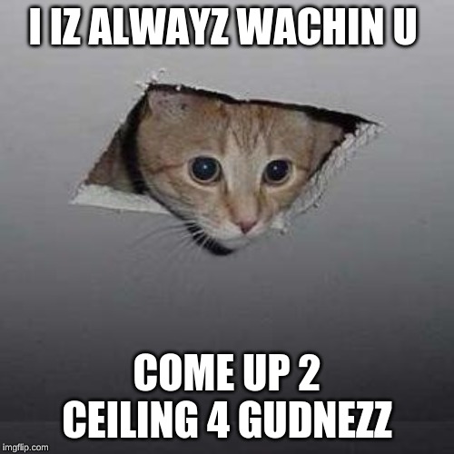 Ceiling Cat | I IZ ALWAYZ WACHIN U; COME UP 2 CEILING 4 GUDNEZZ | image tagged in memes,ceiling cat | made w/ Imgflip meme maker