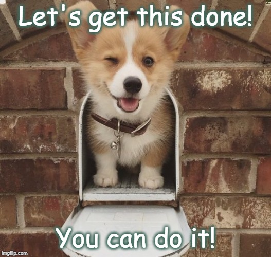 you got this Corgi | Let's get this done! You can do it! | image tagged in you got this corgi | made w/ Imgflip meme maker