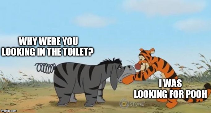 Shenani Stone TIgger Eeyore | WHY WERE YOU LOOKING IN THE TOILET? I WAS LOOKING FOR POOH | image tagged in shenani stone tigger eeyore | made w/ Imgflip meme maker
