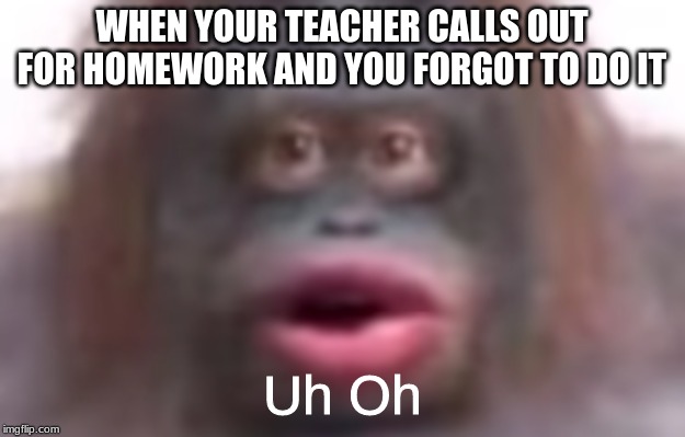WHEN YOUR TEACHER CALLS OUT FOR HOMEWORK AND YOU FORGOT TO DO IT; Uh Oh | image tagged in uh oh | made w/ Imgflip meme maker