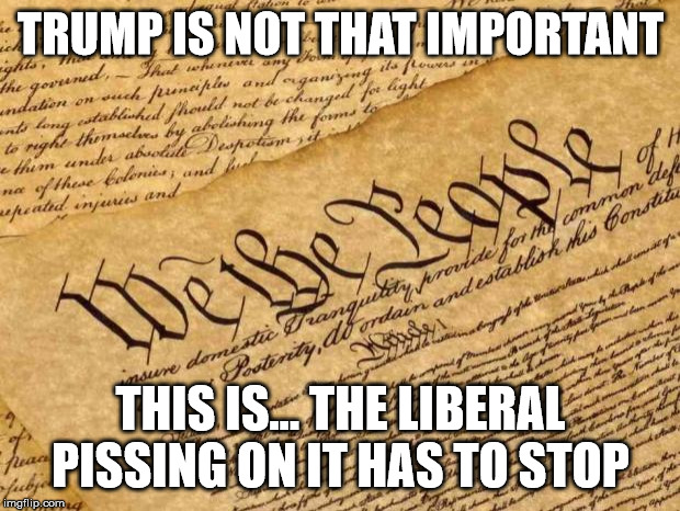 Constitution | TRUMP IS NOT THAT IMPORTANT THIS IS... THE LIBERAL PISSING ON IT HAS TO STOP | image tagged in constitution | made w/ Imgflip meme maker