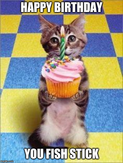 Happy Birthday Cat | HAPPY BIRTHDAY; YOU FISH STICK | image tagged in happy birthday cat | made w/ Imgflip meme maker