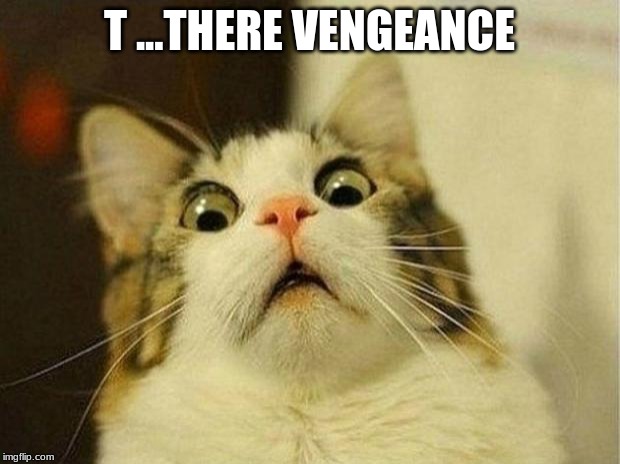 Scared Cat | T ...THERE VENGEANCE | image tagged in memes,scared cat | made w/ Imgflip meme maker