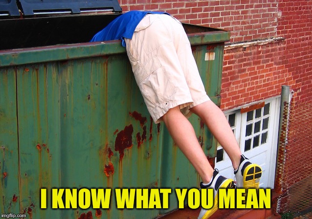 Dumpster Dive | I KNOW WHAT YOU MEAN | image tagged in dumpster dive | made w/ Imgflip meme maker