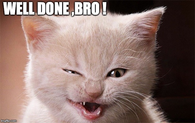 WELL DONE ,BRO ! | image tagged in laughing cat | made w/ Imgflip meme maker