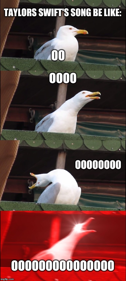 Inhaling Seagull | TAYLORS SWIFT'S SONG BE LIKE:; OO; OOOO; OOOOOOOO; OOOOOOOOOOOOOOO | image tagged in memes,inhaling seagull | made w/ Imgflip meme maker