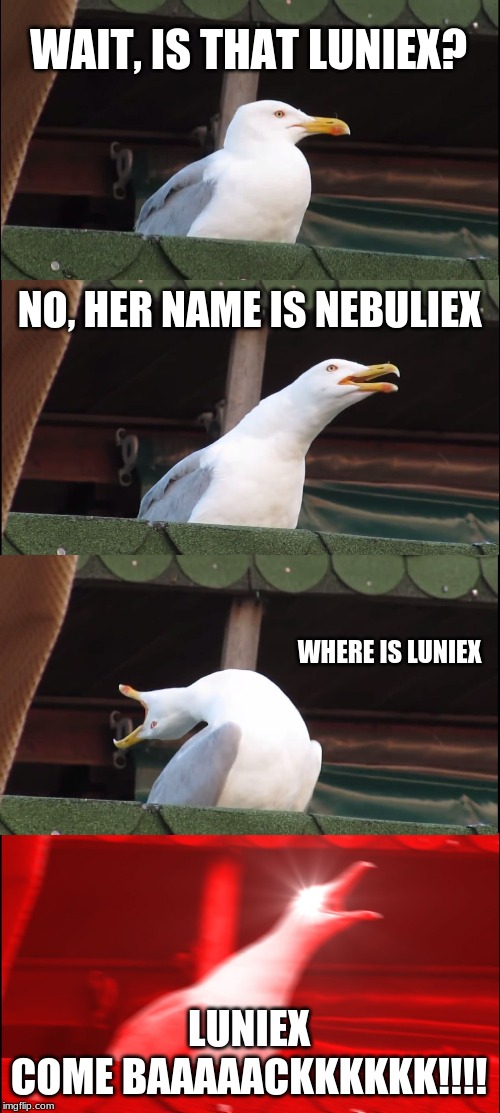 Inhaling Seagull Meme | WAIT, IS THAT LUNIEX? NO, HER NAME IS NEBULIEX; WHERE IS LUNIEX; LUNIEX
COME BAAAAACKKKKKK!!!! | image tagged in memes,inhaling seagull | made w/ Imgflip meme maker
