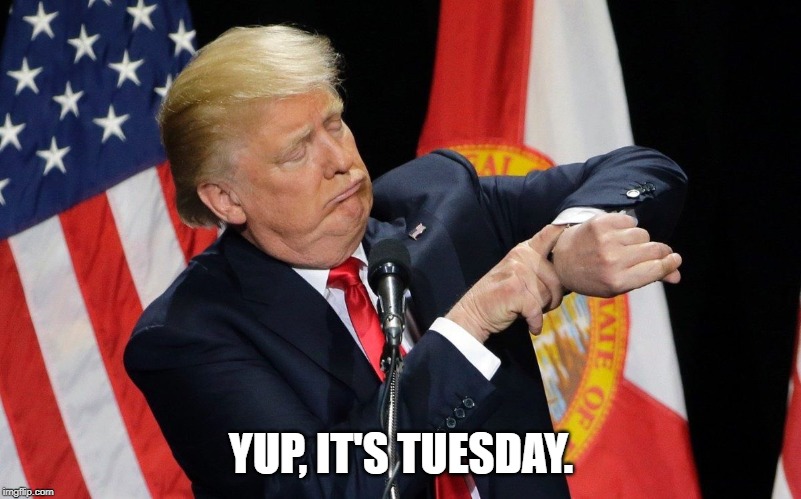 trump checks watch | YUP, IT'S TUESDAY. | image tagged in trump checks watch | made w/ Imgflip meme maker