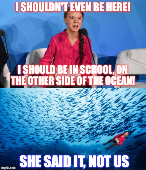 I'd fake a stomach ache to get outta school. Greta school ditching level: COSMIC! | I SHOULDN'T EVEN BE HERE! I SHOULD BE IN SCHOOL, ON THE OTHER SIDE OF THE OCEAN! SHE SAID IT, NOT US | image tagged in great thunberg,ditch school | made w/ Imgflip meme maker