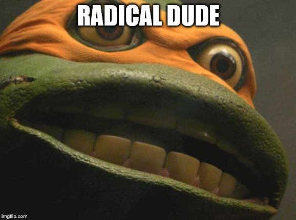 TMNT Mikey | RADICAL DUDE | image tagged in tmnt mikey | made w/ Imgflip meme maker