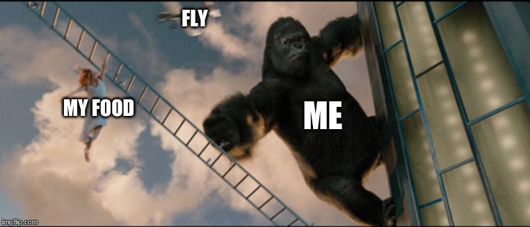 FLY; MY FOOD; ME | image tagged in funny memes | made w/ Imgflip meme maker