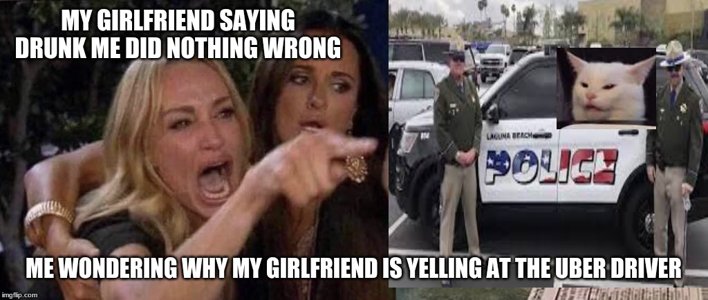 woman yelling at cat | MY GIRLFRIEND SAYING DRUNK ME DID NOTHING WRONG; ME WONDERING WHY MY GIRLFRIEND IS YELLING AT THE UBER DRIVER | image tagged in woman yelling at cat | made w/ Imgflip meme maker