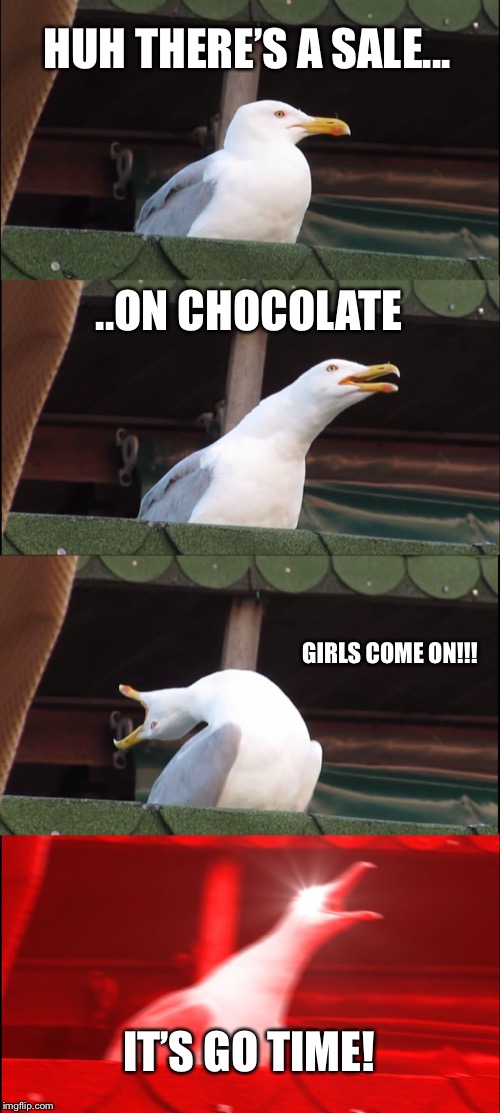 Inhaling Seagull | HUH THERE’S A SALE... ..ON CHOCOLATE; GIRLS COME ON!!! IT’S GO TIME! | image tagged in memes,inhaling seagull | made w/ Imgflip meme maker