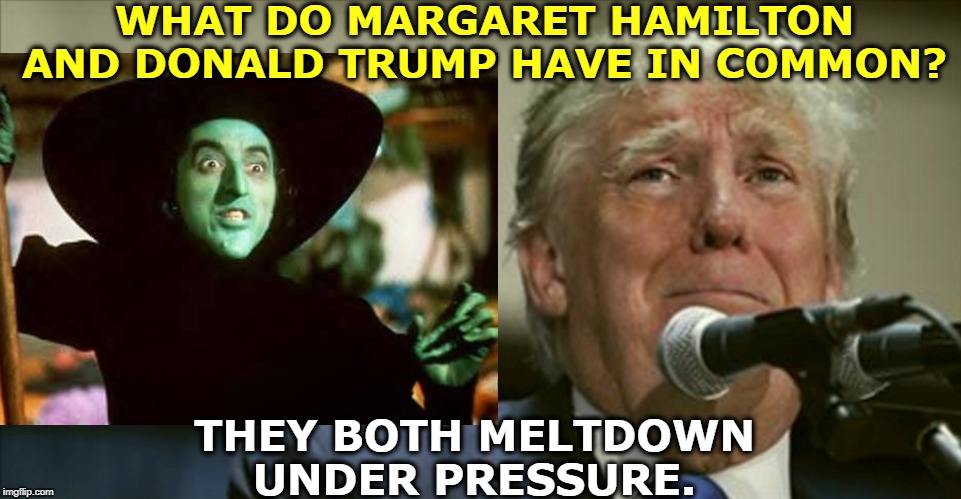 WHAT DO MARGARET HAMILTON AND DONALD TRUMP HAVE IN COMMON? THEY BOTH MELTDOWN UNDER PRESSURE. | image tagged in trump,wicked witch,meltdown,pressure,evil | made w/ Imgflip meme maker