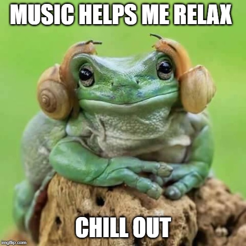 Frog wireless headphones | MUSIC HELPS ME RELAX; CHILL OUT | image tagged in frog wireless headphones | made w/ Imgflip meme maker