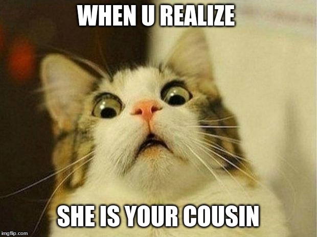 Scared Cat Meme | WHEN U REALIZE; SHE IS YOUR COUSIN | image tagged in memes,scared cat | made w/ Imgflip meme maker