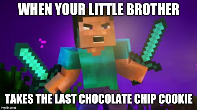 image tagged in minecraft | made w/ Imgflip meme maker