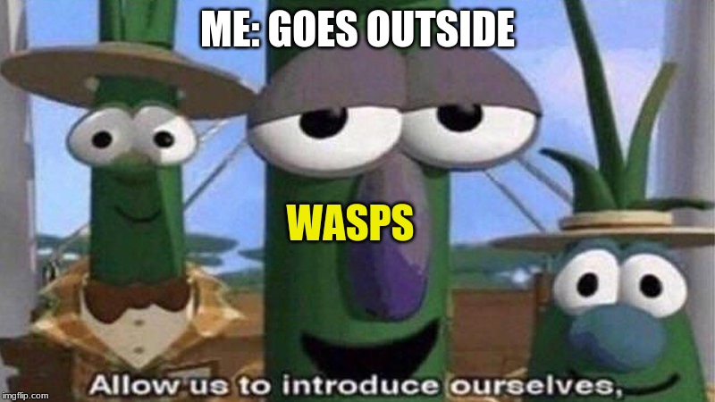 VeggieTales 'Allow us to introduce ourselfs' | ME: GOES OUTSIDE; WASPS | image tagged in veggietales 'allow us to introduce ourselfs' | made w/ Imgflip meme maker