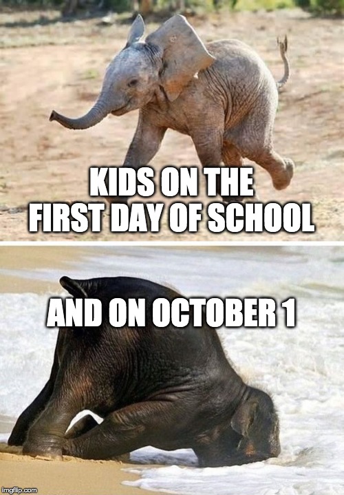 elephant | KIDS ON THE FIRST DAY OF SCHOOL; AND ON OCTOBER 1 | image tagged in elephant | made w/ Imgflip meme maker
