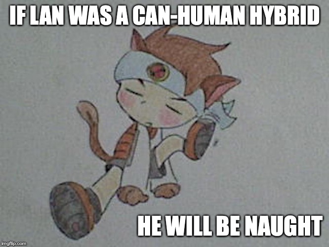 Cat Lan | IF LAN WAS A CAN-HUMAN HYBRID; HE WILL BE NAUGHT | image tagged in lan hikari,megaman,megaman nt warrior,memes | made w/ Imgflip meme maker