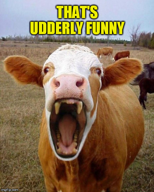 THAT'S UDDERLY FUNNY | made w/ Imgflip meme maker