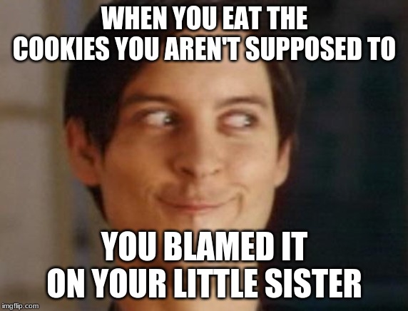 Spiderman Peter Parker Meme | WHEN YOU EAT THE COOKIES YOU AREN'T SUPPOSED TO; YOU BLAMED IT ON YOUR LITTLE SISTER | image tagged in memes,spiderman peter parker | made w/ Imgflip meme maker