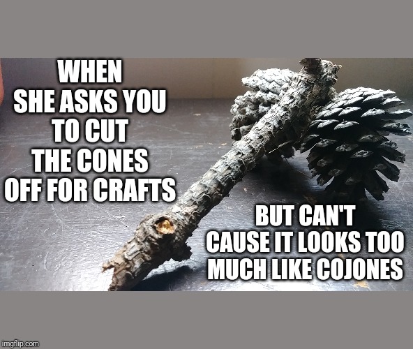 WHEN SHE ASKS YOU TO CUT THE CONES OFF FOR CRAFTS; BUT CAN'T CAUSE IT LOOKS TOO MUCH LIKE COJONES | image tagged in funny | made w/ Imgflip meme maker