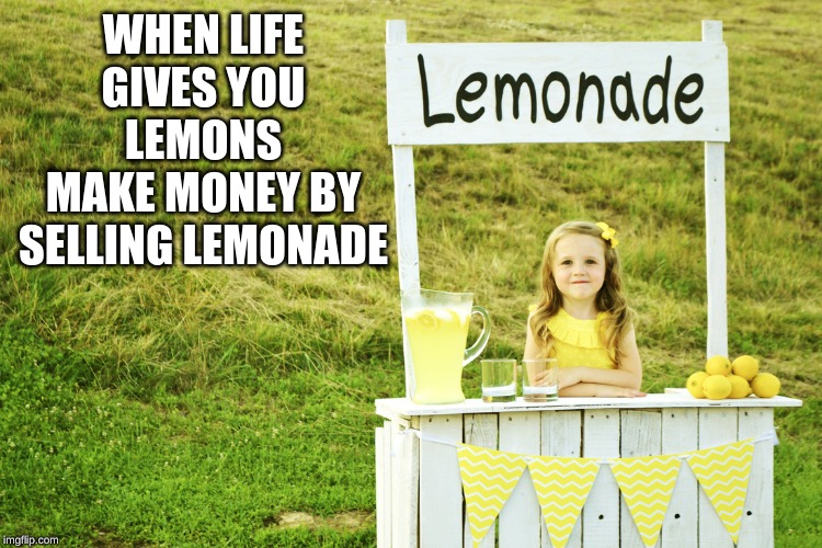 When Life Gives You Lemons.... | WHEN LIFE GIVES YOU LEMONS
MAKE MONEY BY SELLING LEMONADE | image tagged in lemonade stand,lemons,when life gives you lemons | made w/ Imgflip meme maker