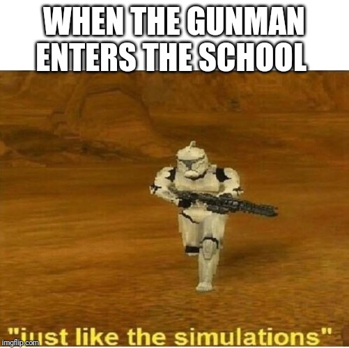 Just like the simulations | WHEN THE GUNMAN ENTERS THE SCHOOL | image tagged in just like the simulations | made w/ Imgflip meme maker