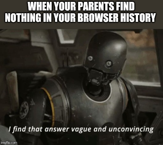 I find that answer vague and unconvincing | WHEN YOUR PARENTS FIND NOTHING IN YOUR BROWSER HISTORY | image tagged in i find that answer vague and unconvincing | made w/ Imgflip meme maker