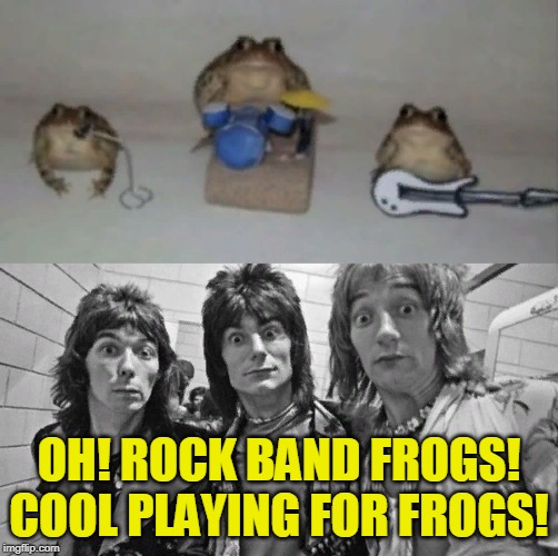 Rock and roll FROGS! | OH! ROCK BAND FROGS! COOL PLAYING FOR FROGS! | image tagged in funny,frog,frogs,rock and roll,playing,music | made w/ Imgflip meme maker