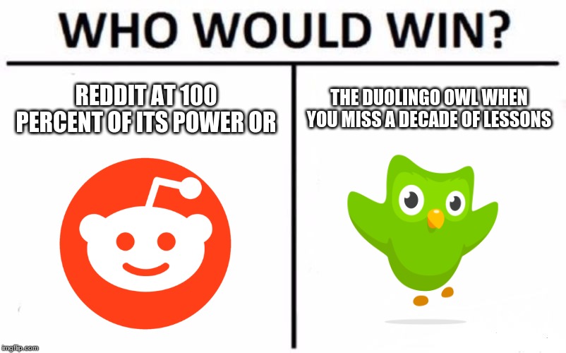 Who Would Win? Meme | REDDIT AT 100 PERCENT OF ITS POWER OR; THE DUOLINGO OWL WHEN YOU MISS A DECADE OF LESSONS | image tagged in memes,who would win | made w/ Imgflip meme maker