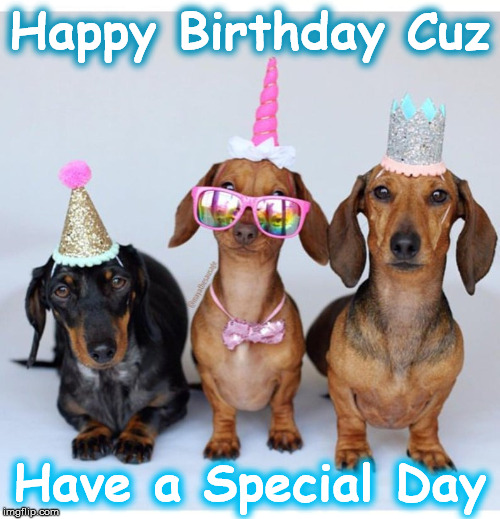 cuzbirthday | Happy Birthday Cuz; Have a Special Day | image tagged in cuzbirthday | made w/ Imgflip meme maker