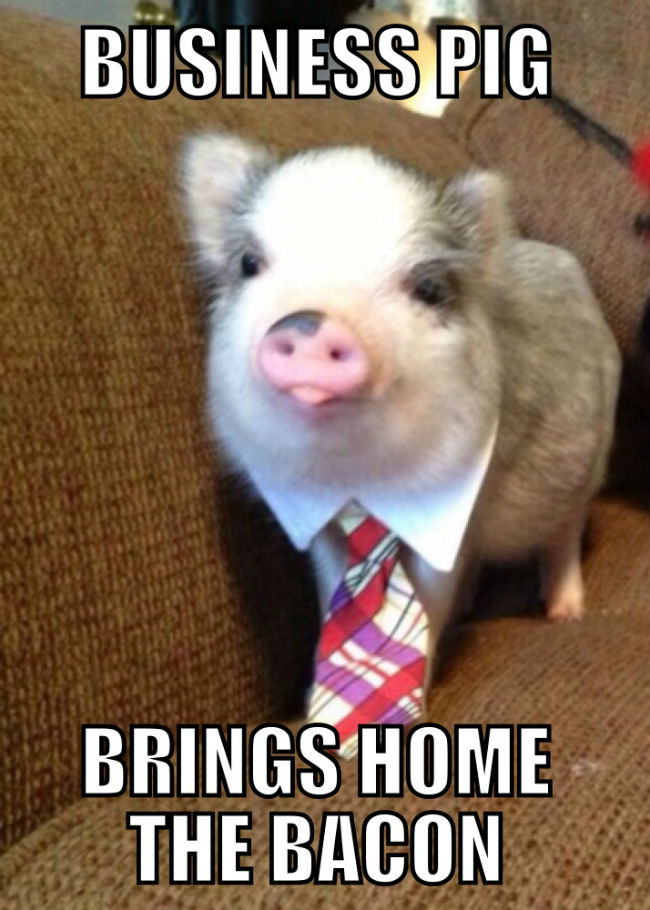 PigPug Blank Meme Template