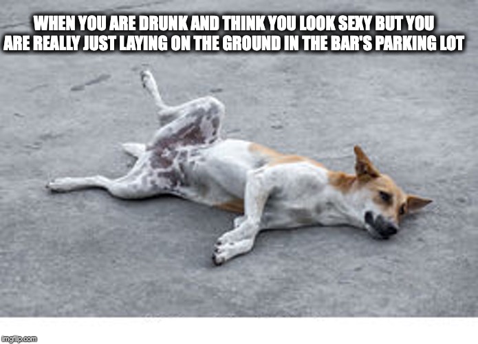 drunk dog | WHEN YOU ARE DRUNK AND THINK YOU LOOK SEXY BUT YOU ARE REALLY JUST LAYING ON THE GROUND IN THE BAR'S PARKING LOT | image tagged in drunk,dog | made w/ Imgflip meme maker