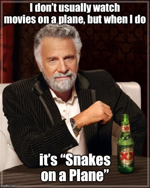 The Most Interesting Man In The World Meme | I don’t usually watch movies on a plane, but when I do it’s “Snakes on a Plane” | image tagged in memes,the most interesting man in the world | made w/ Imgflip meme maker