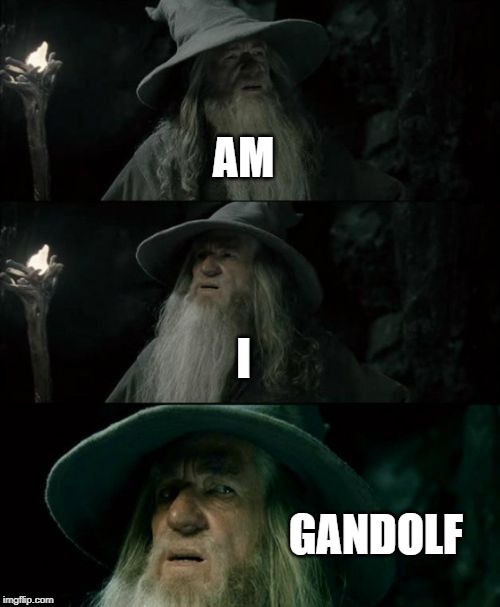 Confused Gandalf Meme | AM; I; GANDOLF | image tagged in memes,confused gandalf | made w/ Imgflip meme maker