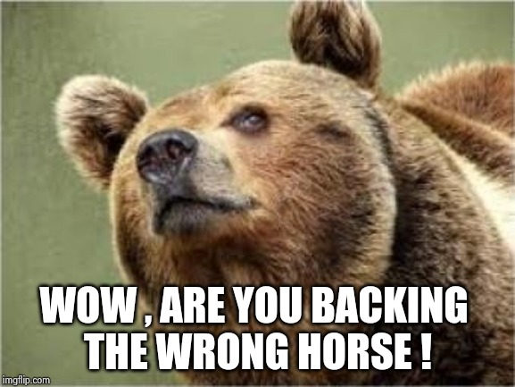 Smug Bear Meme | WOW , ARE YOU BACKING 
THE WRONG HORSE ! | image tagged in memes,smug bear | made w/ Imgflip meme maker