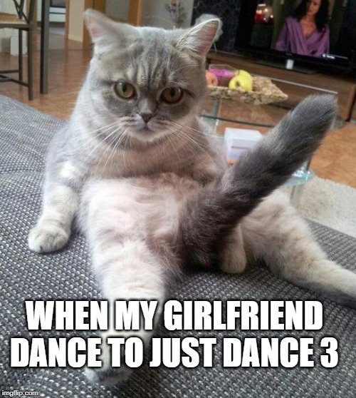 Sexy Cat | WHEN MY GIRLFRIEND DANCE TO JUST DANCE 3 | image tagged in memes,sexy cat | made w/ Imgflip meme maker