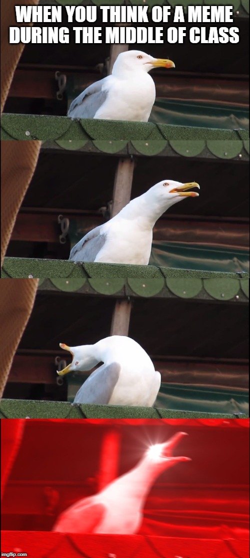 Inhaling Seagull Meme | WHEN YOU THINK OF A MEME DURING THE MIDDLE OF CLASS | image tagged in memes,inhaling seagull | made w/ Imgflip meme maker