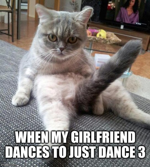 Sexy Cat | WHEN MY GIRLFRIEND DANCES TO JUST DANCE 3 | image tagged in memes,sexy cat | made w/ Imgflip meme maker