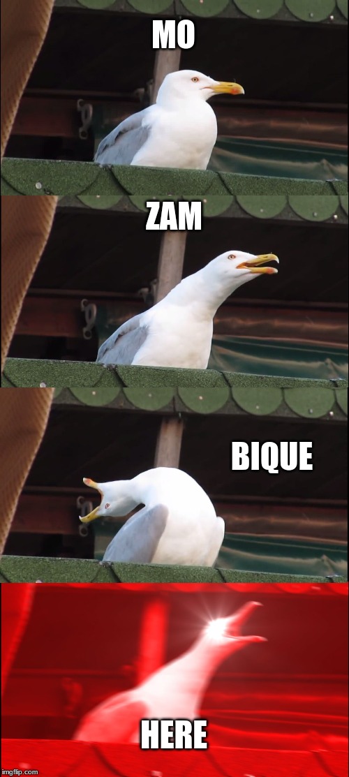Inhaling Seagull Meme | MO; ZAM; BIQUE; HERE | image tagged in memes,inhaling seagull | made w/ Imgflip meme maker