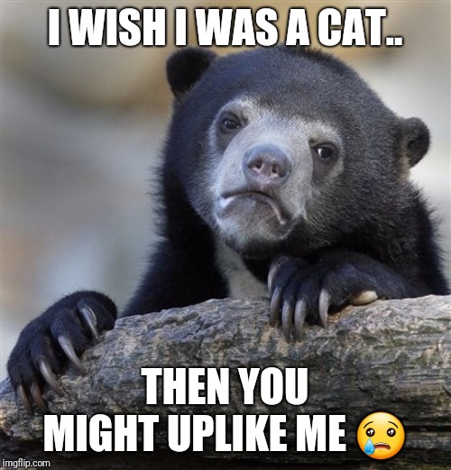 I wish I was a cat then you might uplke me. | I WISH I WAS A CAT.. THEN YOU MIGHT UPLIKE ME 😢 | image tagged in memes,confession bear,cats,sad cat,sad,demotivationals | made w/ Imgflip meme maker