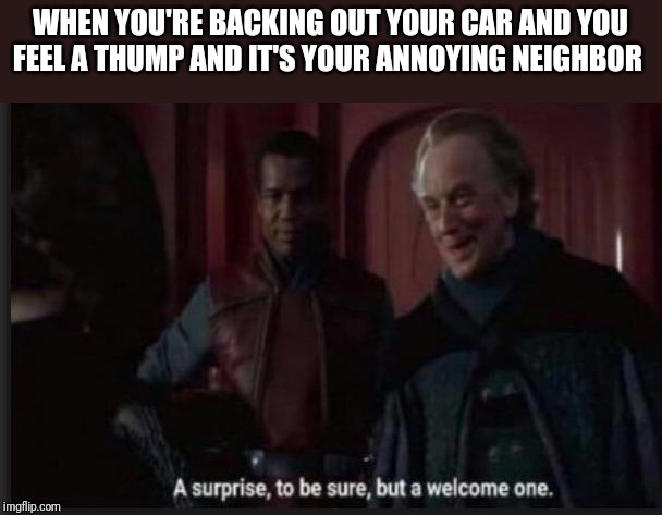 star wars a surprise to be sure | WHEN YOU'RE BACKING OUT YOUR CAR AND YOU FEEL A THUMP AND IT'S YOUR ANNOYING NEIGHBOR | image tagged in star wars a surprise to be sure | made w/ Imgflip meme maker