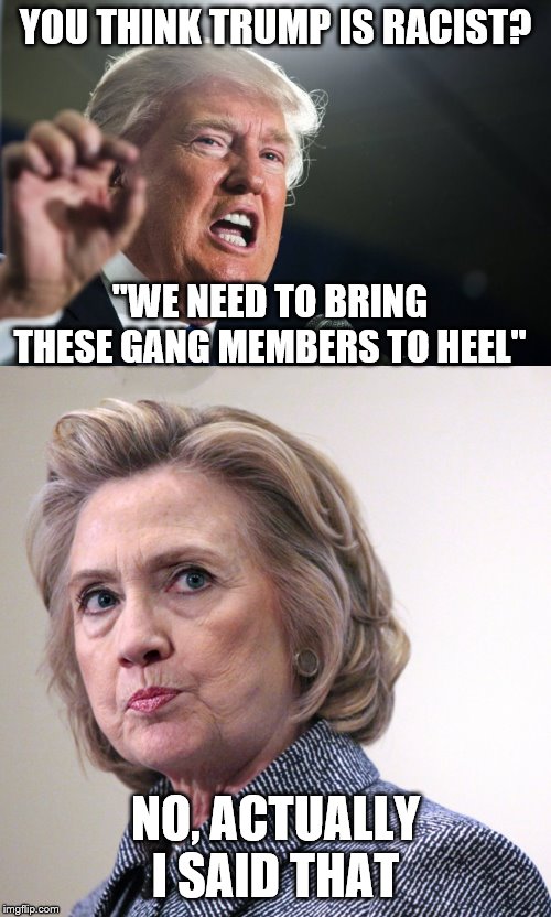 YOU THINK TRUMP IS RACIST? "WE NEED TO BRING THESE GANG MEMBERS TO HEEL"; NO, ACTUALLY I SAID THAT | image tagged in donald trump,hillary clinton pissed | made w/ Imgflip meme maker