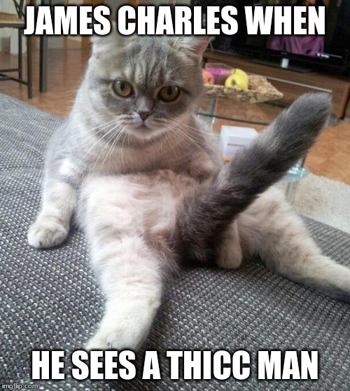 Sexy Cat | JAMES CHARLES WHEN; HE SEES A THICC MAN | image tagged in memes,sexy cat | made w/ Imgflip meme maker