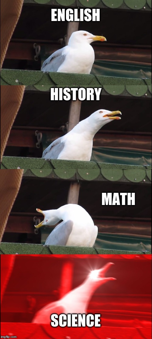 Inhaling Seagull Meme | ENGLISH; HISTORY; MATH; SCIENCE | image tagged in memes,inhaling seagull | made w/ Imgflip meme maker