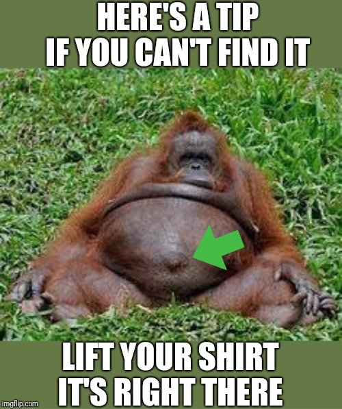 Pregnant monkey | HERE'S A TIP IF YOU CAN'T FIND IT LIFT YOUR SHIRT IT'S RIGHT THERE | image tagged in pregnant monkey | made w/ Imgflip meme maker